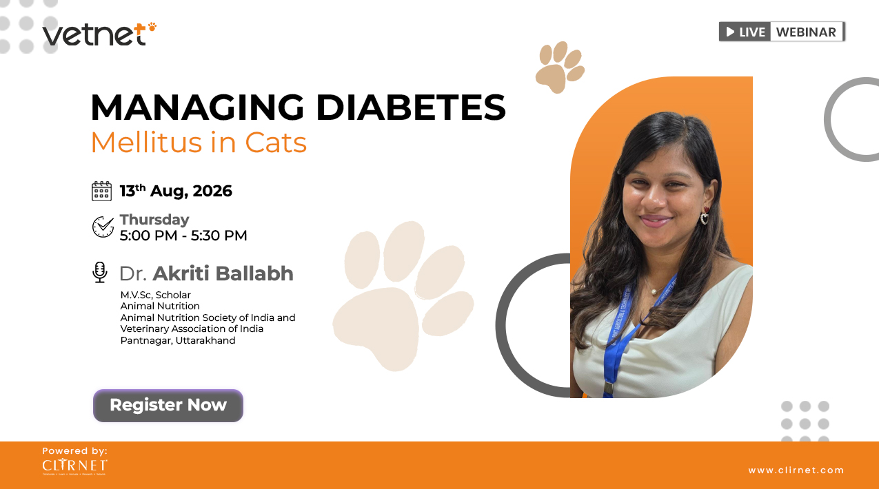 Managing Diabetes Mellitus in Cats